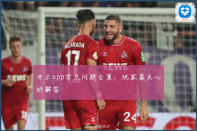 开云app常见问题合集，玩家最关心的解答