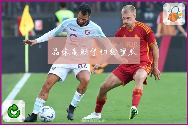 品味高颜值的甜蜜瓜